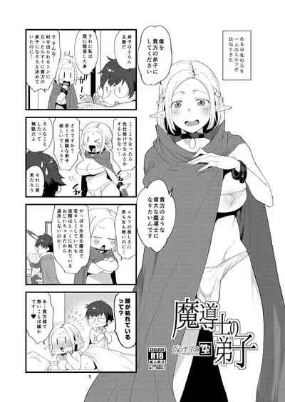Elf no Seinen