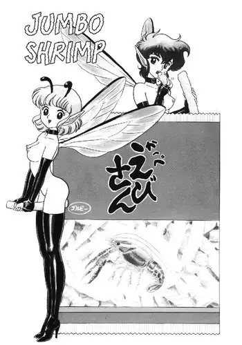 New Bondage Fairies vol1 - CH4