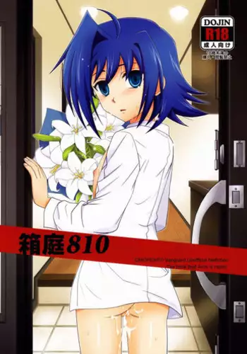 (SPARK7) [Ura Urethan (Akari Seisuke)] Hakoniwa 810 (Cardfight!! Vanguard)