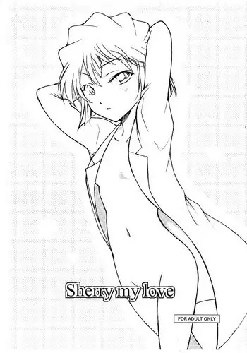 (C88) [OTOHIMEDOU (Otumaru)] Sherry my love (Meitantei Conan)