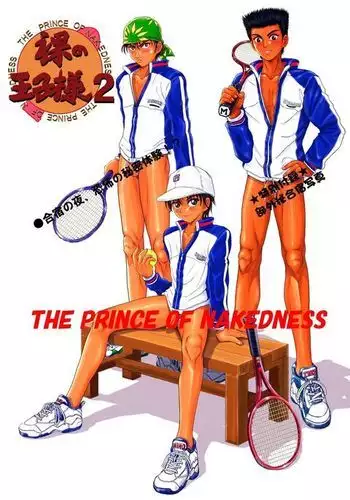 Hadaka no Ouji-sama 2