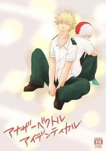 Another Vector Identical