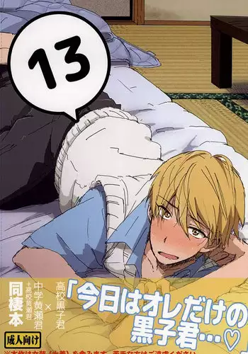 (C88) [Ysouko (Sari)] Kuro Ki Hon 13 (Kuroko no Basuke)