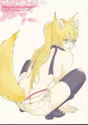 Dream passport )incomplete