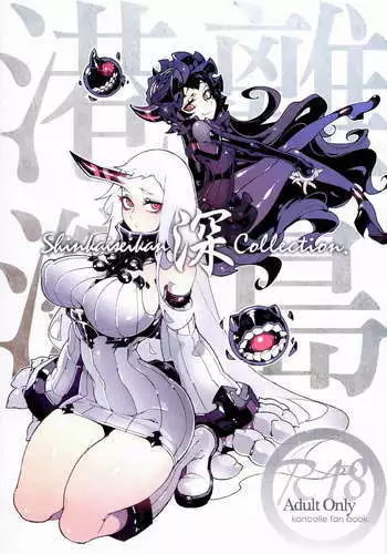 Shinkaiseikan ～Kouwan Ritou～