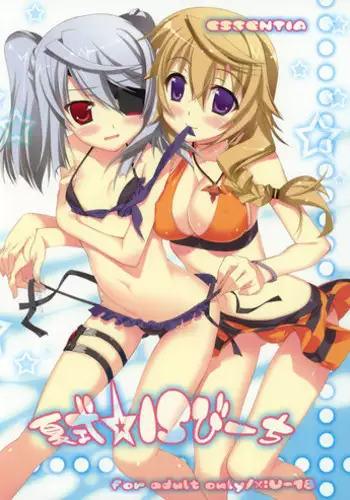 (C80) [Essentia (Fujima Takuya)] Natsushiki IS Beach (Infinite Stratos)