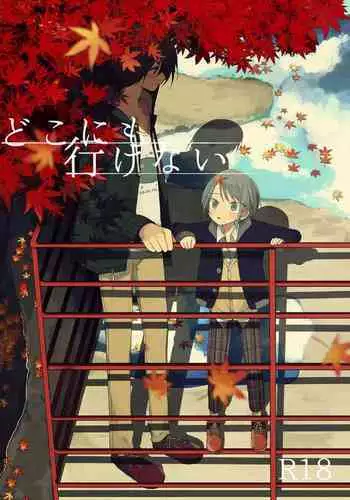 Doko ni mo Ikenai