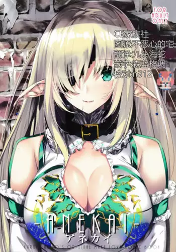 (C92) [Kansen Shoujo (Noto Kurumi)] ANEKAI [Chinese] [CE家族社]