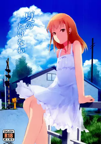 (C86) [Yadokugaeru (locon)] Natsu no Takenawa [English]