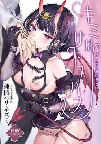 Kimi wa Succubus