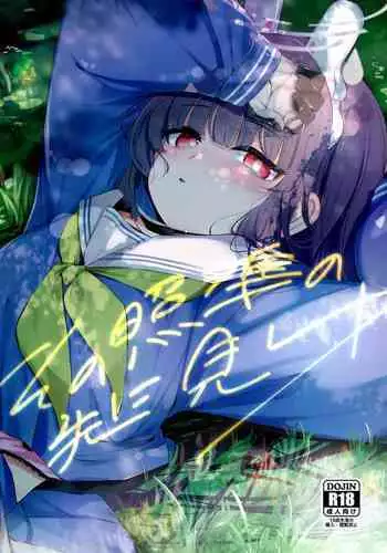 Sono Shoujun no Saki ni Miyu