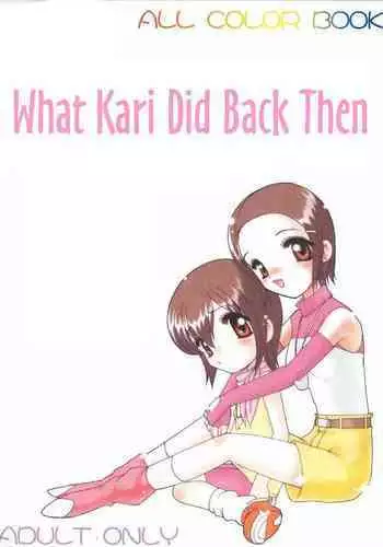 Hikari-chan To Issho | What Kari Did Back Then