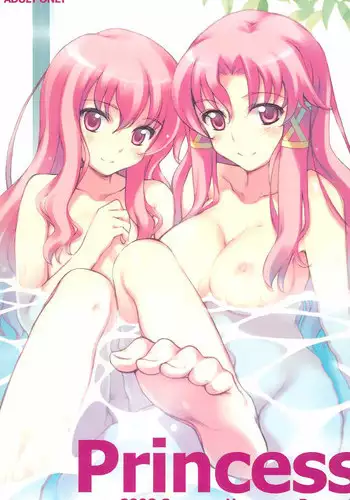 (C74) [Hannama (Serere)] Princess (Zero no Tsukaima)