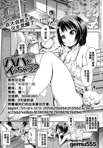 [gemu555] Papa to Icchau? (COMIC Anthurium 032 2015-12) [Chinese] [黑街汉化组]