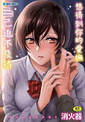 [Syoukaki] Furete Hoshikute Tamaranai | 想得到你的愛撫 已迫不及待 [Chinese] [Digital]