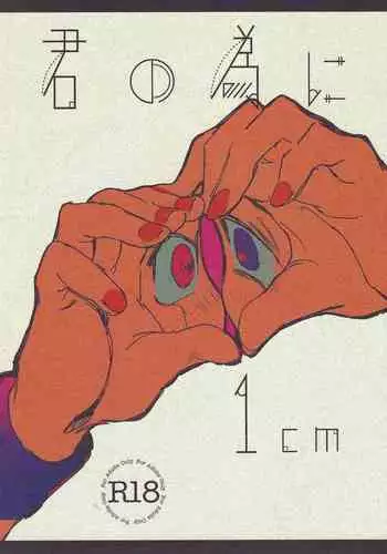Kimi no tame ni 1 cm
