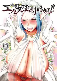 [B.B.T.T. (Yamamoto Zenzen)] Takabisha Elf Kyousei Konin!! [Digital]