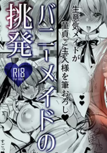 Bunny Maid no Chouhatsu