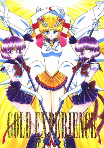 (C58) [BLACK DOG (Kuroinu Juu)] GOLD EXPERIENCE (Sailor Moon) [2nd Edition]