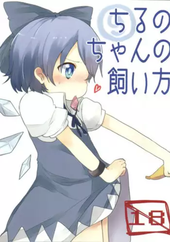 (C79) [Okota to Mikan, Arysuivery, Chiyohan (pun2, Ayakase Riberi, Chiyoko)] Cirno-chan no Kaikata (Touhou Project)