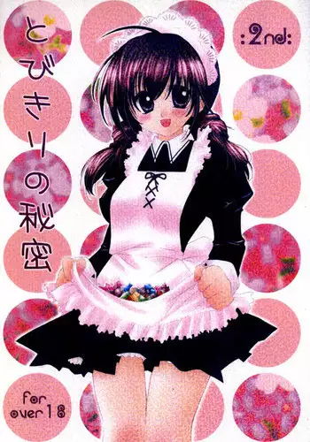 (C67) [Sakurakan (Seriou Sakura)] Tobikkiri no Himitsu 2 (Inuyasha)