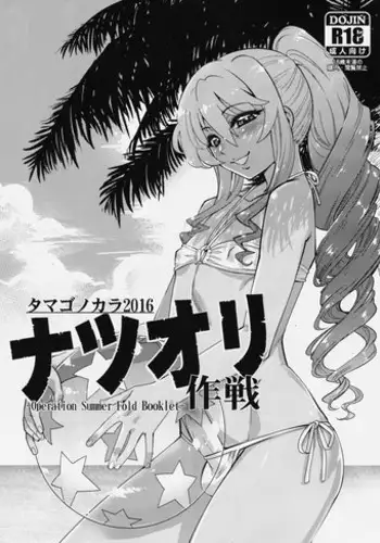 (C90) [Tamago no Kara (Shiroo)] -Operation Summer Fold Booklet-