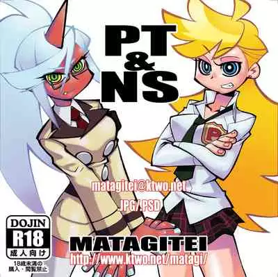 PT&NS