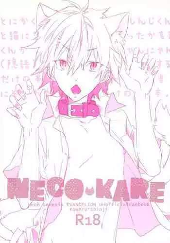 NECOKARE