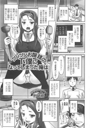 [Nozarashi Satoru] Tsuntsun Ojousama no Geboku ni Natte Shimatta Ore wa Ch. 1-2